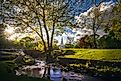 Summer evening at Milford Duck Pond in Milford, Connecticut. 