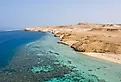 Aerial view Red Sea corals and sandy island, Egypt. Image credit Lostsurf via Shutterstock.