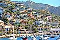 Avalon, California.