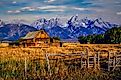 The Moulton barn in morning light in Grand Teton National Park Wyoming at Morman Row near Jackson Hole Wyoming. 