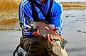 Kokanee Salmon caught in the US