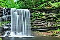 Harrison Wrights Fall in Ricketts Glen. Image credit LHBLLC via Shutterstock