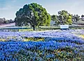 Texas Hill Country is a 25-county region of Central Texas and South Texas. 