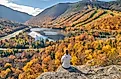 Fall foliage at the Franconia Notch State Park, New Hampshire.