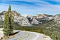 Tioga Pass Road through Olmsted Point, Yosemite National Park, California. 