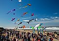 Annual Kite Festival in Lincoln City, Oregon. Editorial credit: Bob Pool / Shutterstock.com