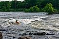 Chattahoochee River