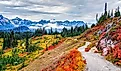 Washington, USA: Fall colors at Paradise area at Mount Rainier National Park.