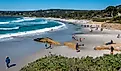 The beach in Carmel-by-the-Sea, California. Image credit David A Litman via Shutterstock