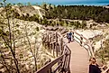 Boardwalk at Indiana Dunes National Park.