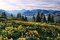 Cascade Range Mountains near Winthrop. WA, United States.
