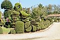 Pearl Fryar Topiary Garden, Bishopville, SC By Judson McCranie, CC BY-SA 3.0, Wikimedia Commons