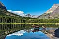Moose crossing a lake at Glacier National Park, Montana.