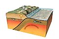 Plates at the surface of the Earth move due to intense heat from the core of the planet.