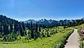Landscape nature trail hiking in Mount Rainer Washington.