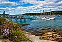 Rocky coast with pretty pink flowers blooming and boats in the harbor at Bar Harbor, Maine.