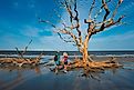 Jekyll Island