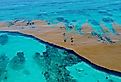 Caribbean sea covered by Sargasso algae.