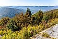 View from the side of Mount Greylock in the fall in Lanesborough, Massachusetts.