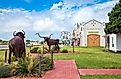 Longhorn cattle statues in Elk City, Oklahoma. Editorial credit: Gimas / Shutterstock.com