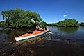 A kayaker in the Biscayne National Park. Editorial credit: Francisco Blanco / Shutterstock.com