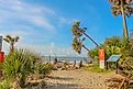 Botany Bay Beach on Edisto Island, South Carolina.