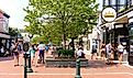 Washington Street Mall in Cape May, New Jersey. Image credit: George Wirt / Shutterstock.com.