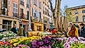  Shoppers browsing vibrant flower market stalls in Aix-en-Provence (Editorial credit: Volker Vornehm / Shutterstock.com) 