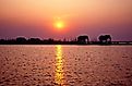 Sillhouttes of elephants along the shores of Lake Kariba.