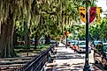 Spanish moss overhangs a sidewalk in New Bern, North Carolina. Image credit: Wileydoc / Shutterstock.com. 