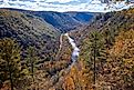 Spectacular scenery of the Pine Creek Gorge in Pennsylvania.