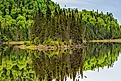 Lake in Nipigon Ontario Canada showing scenic view of Cedar Pine forest