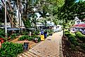 The quaint popular town of Montville on a sunny winter's day in the Glasshouse Mountains near Sunshine Coast in Queensland, Australia