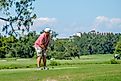 Golfer finishing a putt on the green at Audubon Park Golf Club in New Orleans, Louisiana. Editorial credit: William A. Morgan / Shutterstock.com