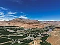 Drone view of vineyards and farmland along the Colorado River near Grand Junction, Colorado.