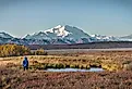 Hiking in Denali National Park, Alaska