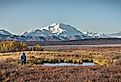 Hiking in Denali National Park, Alaska, USA