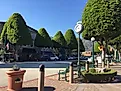 Glendora Village with Ficus trees, By Jaymanuel at English Wikipedia, CC BY-SA 4.0, https://commons.wikimedia.org/w/index.php?curid=61720607
