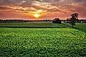 Scenic aerial view of tobacco farm in Central Kentucky at sunset