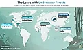 Infographic of the lakes with underwater forests. 
