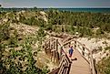 A boy hiking along a trail in the Indiana Dunes National Park, near Chesterton, Indiana.