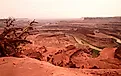 Dead Horse Point State Park with bike trails. 