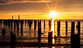 Posts from a former ferry dock at Cape Charles, Virginia, along Chesapeake Bay.