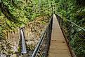 Drift creek fall trail in Siuslaw National Forest, Oregon
