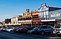 Daylesford, Victoria: Busy Vincent.
