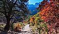 Guadalupe Mountain trail in Texas.