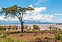 Lake Abaya near Arba Minch in Nechisar, Ethiopia.