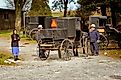 Amish buggies in Millersburg, Ohio. Dennis MacDonald / Shutterstock.com.