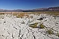Abandoned Boat On Dried Shores of Lake Mead