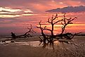 Gorgeous Sunset at Boneyard Beach in Hunting Island State Park South Carolina. 